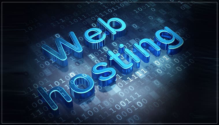 You are currently viewing CHOOSING THE BEST DOMAIN NAMES & WEB HOSTING SERVICE FOR YOUR NICHE WEBSITE